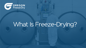 What is freeze-drying?