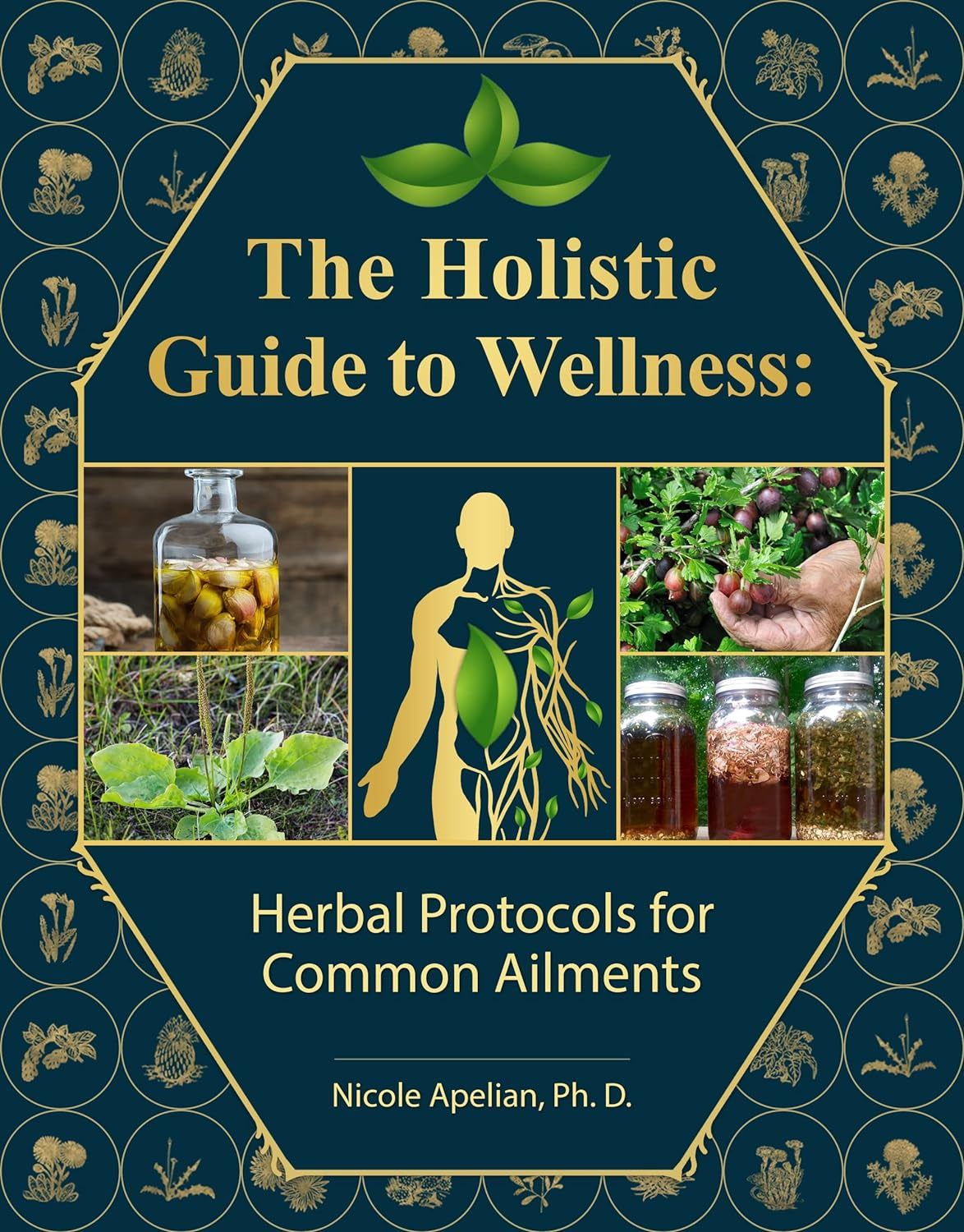 The Holistic Guide to Wellness : Herbal Protocols for Common Ailments