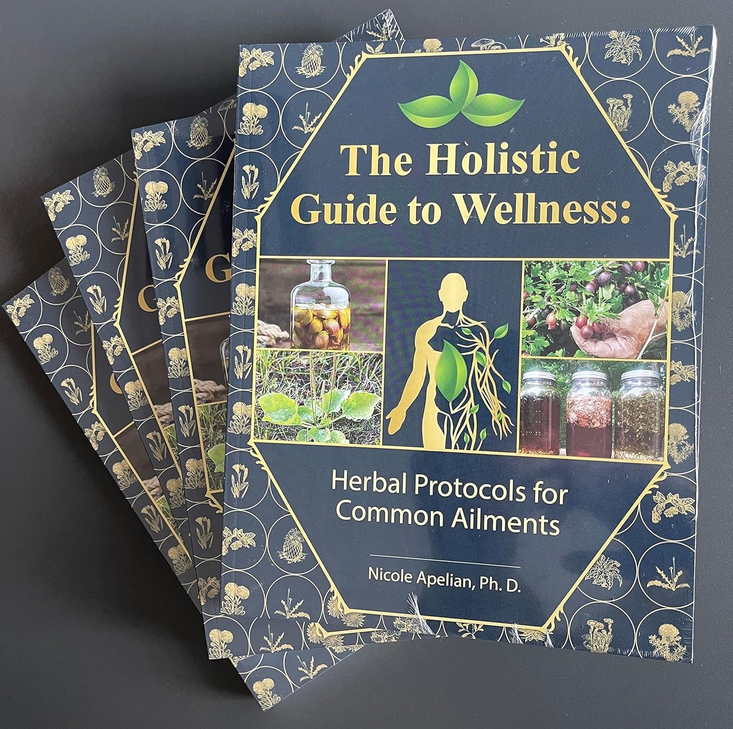 The Holistic Guide to Wellness : Herbal Protocols for Common Ailments