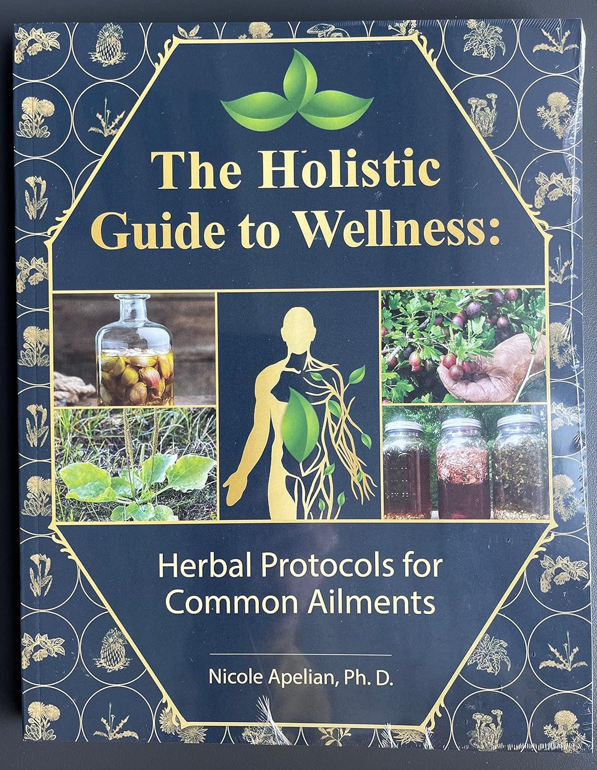 The Holistic Guide to Wellness : Herbal Protocols for Common Ailments